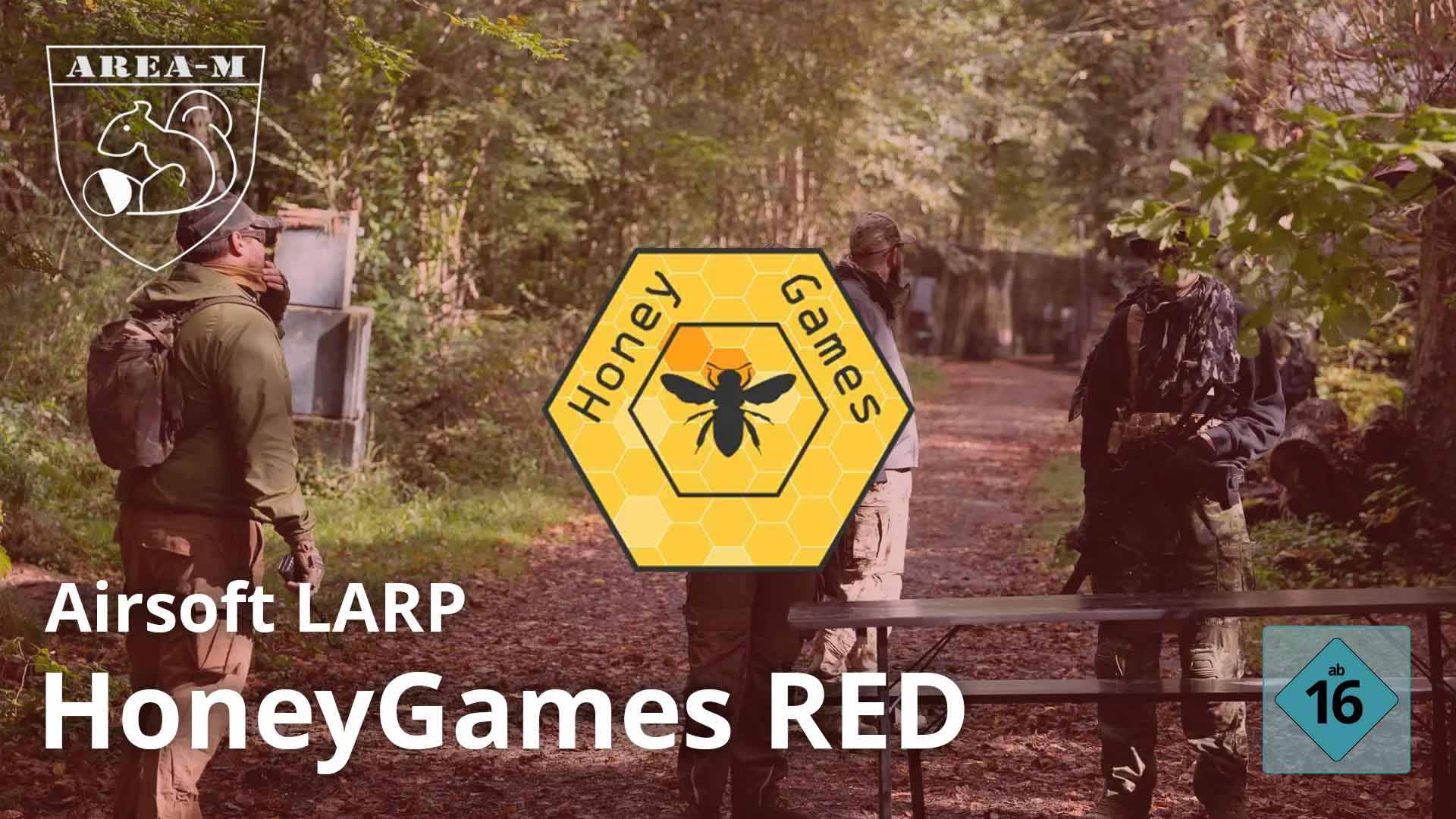 Gehen, Vegetation, Wandern, Tasche, Regenwald, Person, Gehen, Vegetation, Wandern, Schild, 